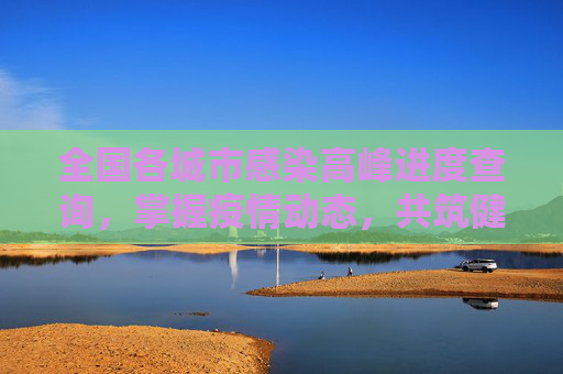 全国各城市感染高峰进度查询，掌握疫情动态，共筑健康防线,全国各城市感染高峰进度查询
