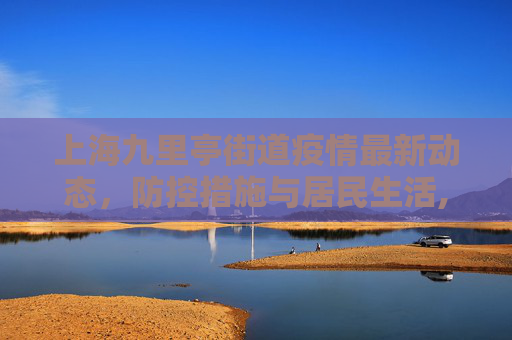 上海九里亭街道疫情最新动态，防控措施与居民生活,上海九里亭疫情最新