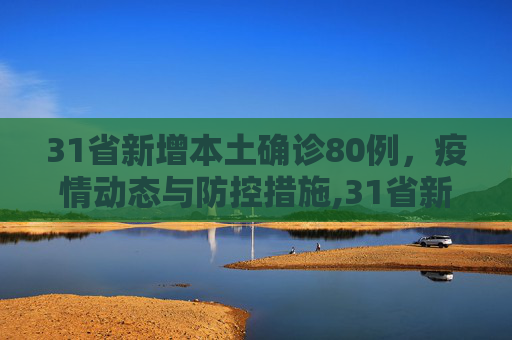 31省新增本土确诊80例，疫情动态与防控措施,31省新增本土确诊80例