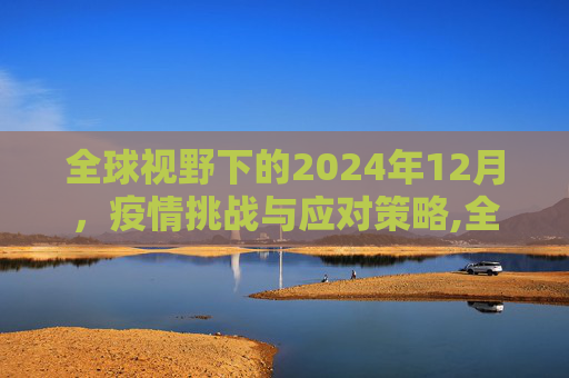 全球视野下的2024年12月，疫情挑战与应对策略,全球视野下的2024年12月疫情挑战与应对策略