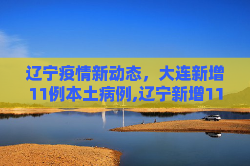 辽宁疫情新动态，大连新增11例本土病例,辽宁新增11例本土病例均在大连