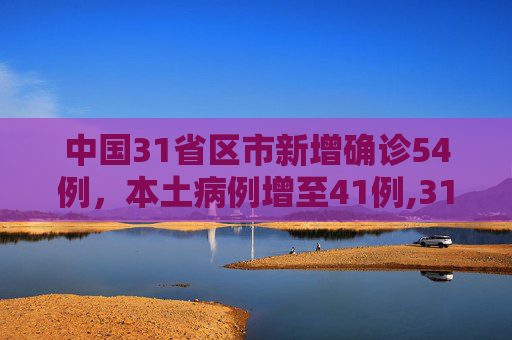 中国31省区市新增确诊54例，本土病例增至41例,31省区市新增确诊54例本土41例