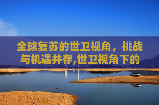 全球复苏的世卫视角，挑战与机遇并存,世卫视角下的全球复苏