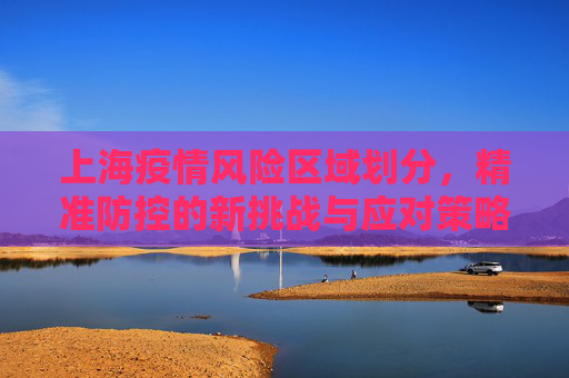 上海疫情风险区域划分，精准防控的新挑战与应对策略,上海疫情风险区域划分