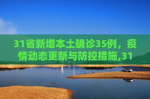31省新增本土确诊35例，疫情动态更新与防控措施,31省新增本土确诊35例