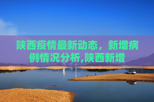 陕西疫情最新动态，新增病例情况分析,陕西新增