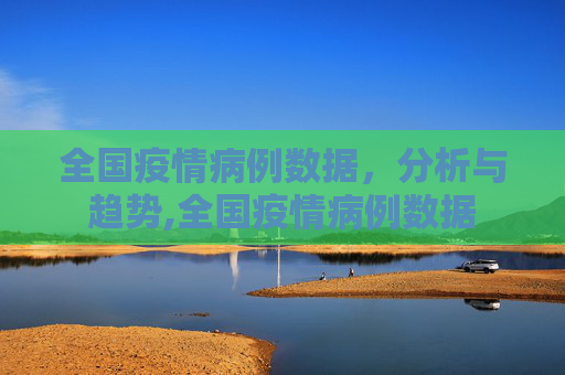全国疫情病例数据，分析与趋势,全国疫情病例数据
