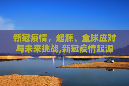 新冠疫情，起源、全球应对与未来挑战,新冠疫情起源与全球应对