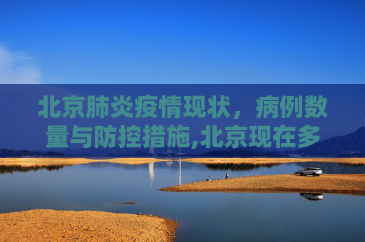 北京肺炎疫情现状，病例数量与防控措施,北京现在多少例肺炎