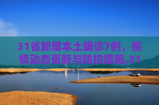 31省新增本土确诊7例，疫情动态更新与防控措施,31省新增本土确诊7例