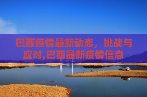 巴西疫情最新动态，挑战与应对,巴西最新疫情信息