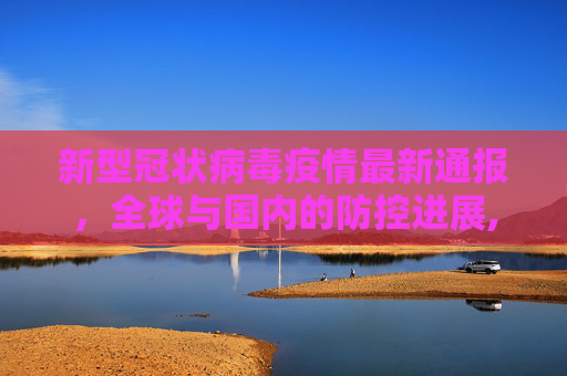 新型冠状病毒疫情最新通报，全球与国内的防控进展,新型冠状病毒疫情通报