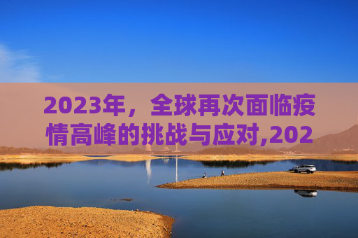2023年，全球再次面临疫情高峰的挑战与应对,2023年第二次疫情高峰期