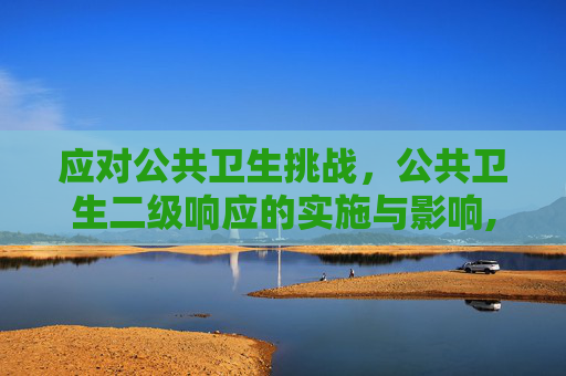 应对公共卫生挑战，公共卫生二级响应的实施与影响,公共卫生二级响应
