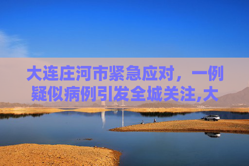 大连庄河市紧急应对，一例疑似病例引发全城关注,大连庄河市发现一例疑似病例