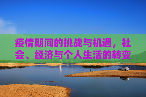 疫情期间的挑战与机遇，社会、经济与个人生活的转变,疫情期间