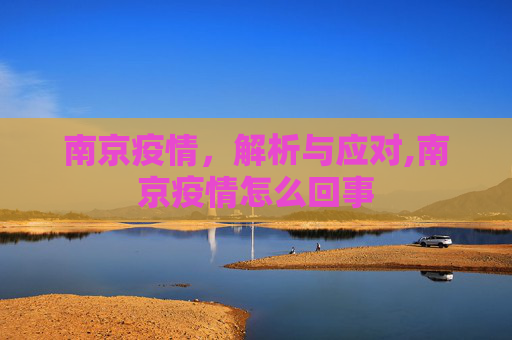 南京疫情，解析与应对,南京疫情怎么回事