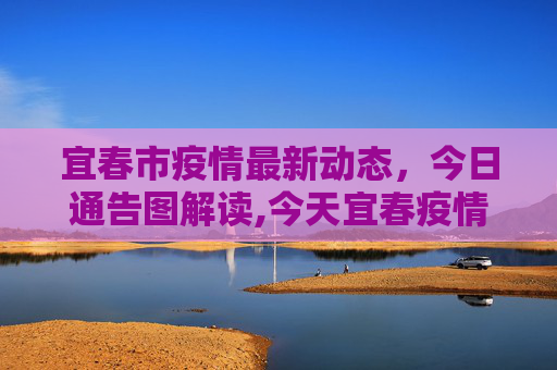 宜春市疫情最新动态，今日通告图解读,今天宜春疫情最新通告图