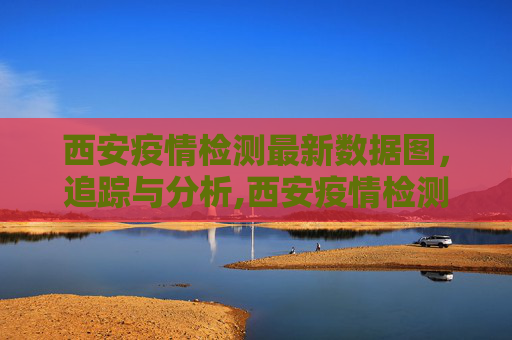 西安疫情检测最新数据图，追踪与分析,西安疫情检测最新数据图