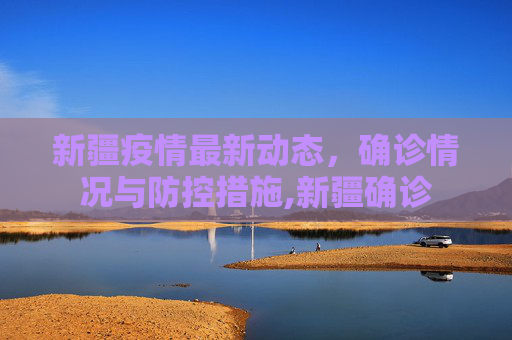 新疆疫情最新动态，确诊情况与防控措施,新疆确诊