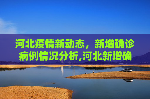 河北疫情新动态，新增确诊病例情况分析,河北新增确诊病例