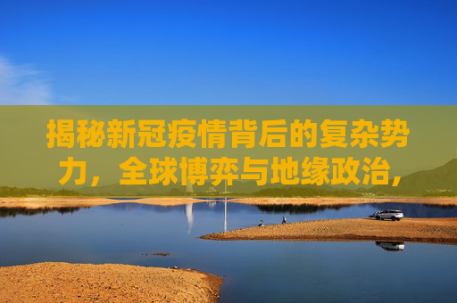 揭秘新冠疫情背后的复杂势力，全球博弈与地缘政治,新冠疫情背后的各种势力揭秘