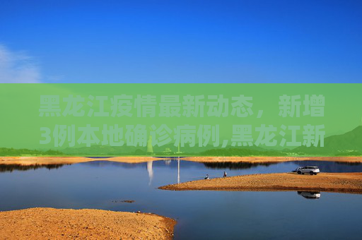 黑龙江疫情最新动态，新增3例本地确诊病例,黑龙江新增3例本地确诊病例