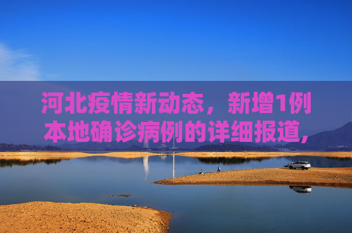 河北疫情新动态，新增1例本地确诊病例的详细报道,河北新增1例本地确诊病例
