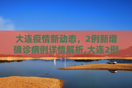 大连疫情新动态，2例新增确诊病例详情解析,大连2例新增确诊病例详情