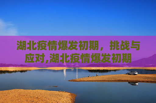湖北疫情爆发初期，挑战与应对,湖北疫情爆发初期