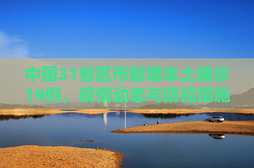 中国31省区市新增本土确诊19例，疫情动态与防控措施,31省区市新增本土确诊19例