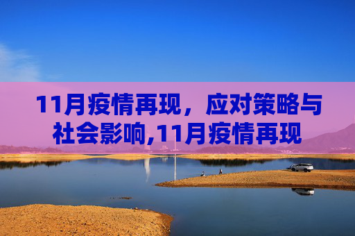 11月疫情再现，应对策略与社会影响,11月疫情再现