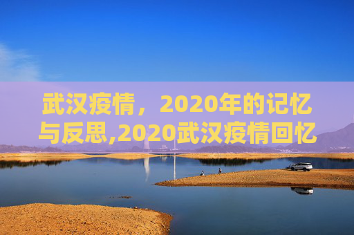 武汉疫情，2020年的记忆与反思,2020武汉疫情回忆录
