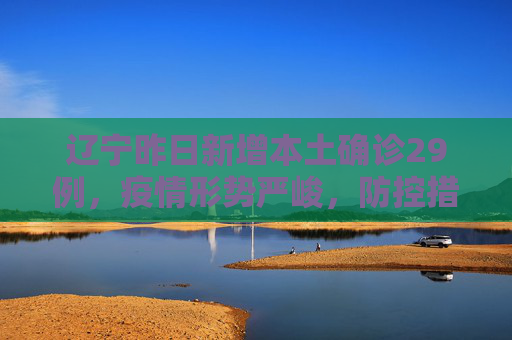 辽宁昨日新增本土确诊29例，疫情形势严峻，防控措施加强,辽宁昨日新增本土确诊29例