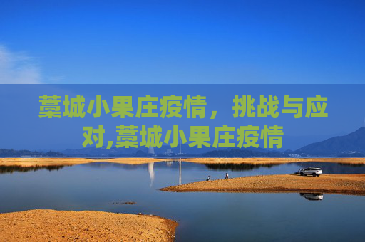 藁城小果庄疫情，挑战与应对,藁城小果庄疫情
