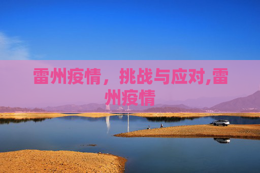 雷州疫情，挑战与应对,雷州疫情