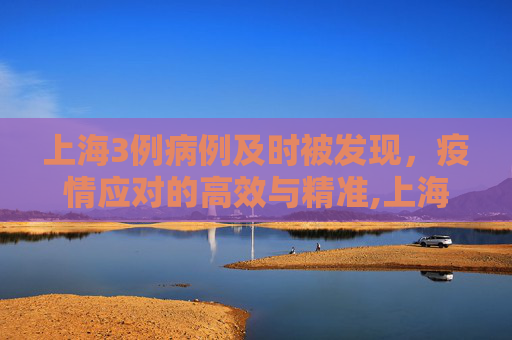 上海3例病例及时被发现，疫情应对的高效与精准,上海3例病例都是及时被发现