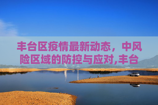 丰台区疫情最新动态，中风险区域的防控与应对,丰台疫情最新中风险