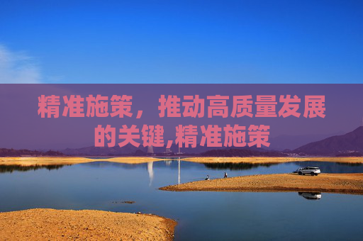 精准施策，推动高质量发展的关键,精准施策