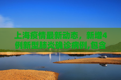 上海疫情最新动态，新增4例新型肺炎确诊病例,包含上海新增4例新型肺炎确诊病例的词条
