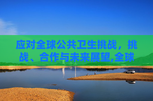 应对全球公共卫生挑战，挑战、合作与未来展望,全球公共卫生挑战与未来展望