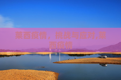 莱西疫情，挑战与应对,莱西疫情