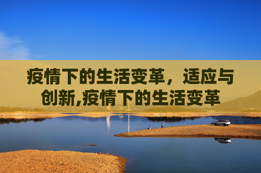 疫情下的生活变革，适应与创新,疫情下的生活变革