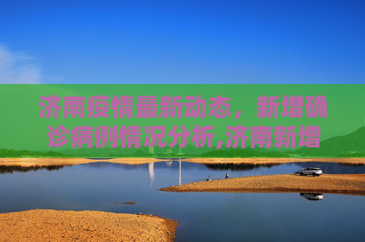济南疫情最新动态，新增确诊病例情况分析,济南新增确诊病例