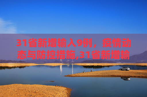 31省新增输入9例，疫情动态与防控措施,31省新增输入9例
