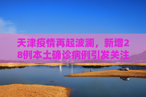 天津疫情再起波澜，新增28例本土确诊病例引发关注,天津新增28例本土确诊病例