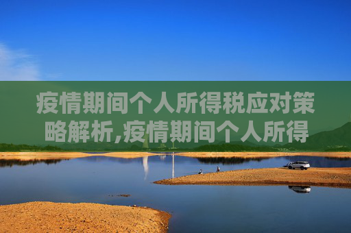 疫情期间个人所得税应对策略解析,疫情期间个人所得税应对策略解析