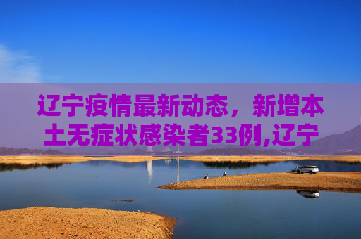辽宁疫情最新动态，新增本土无症状感染者33例,辽宁增本土无症状33例