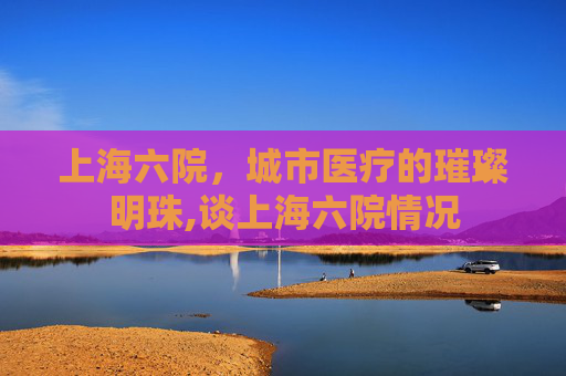上海六院，城市医疗的璀璨明珠,谈上海六院情况