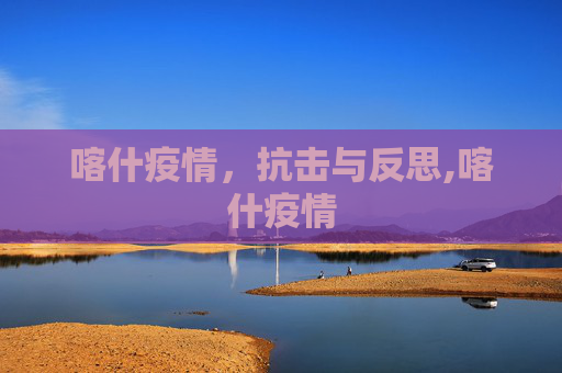 喀什疫情，抗击与反思,喀什疫情